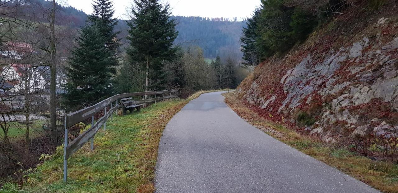 Ferienwohnung "Hirschlein" Im Schwarzwald Baiersbronn Eksteriør billede