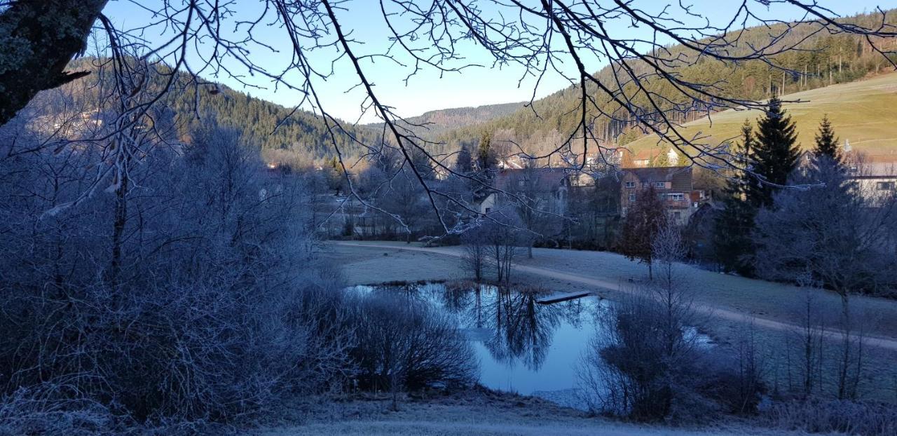 Ferienwohnung "Hirschlein" Im Schwarzwald Baiersbronn Eksteriør billede