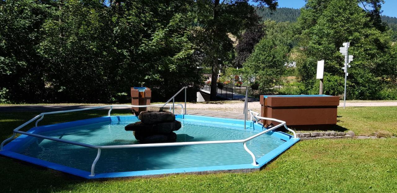 Ferienwohnung "Hirschlein" Im Schwarzwald Baiersbronn Eksteriør billede