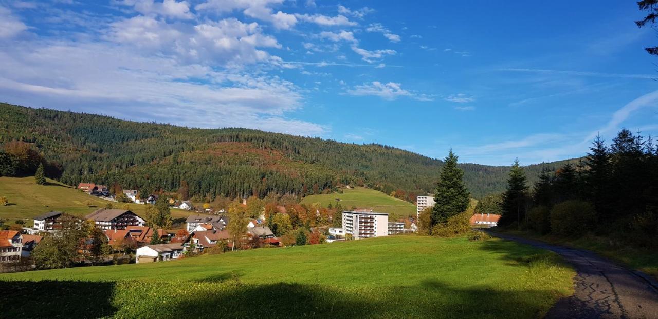 Ferienwohnung "Hirschlein" Im Schwarzwald Baiersbronn Eksteriør billede
