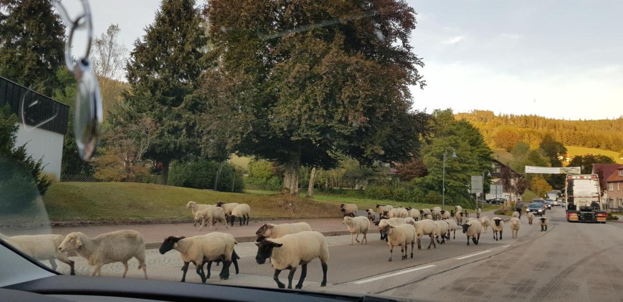 Ferienwohnung "Hirschlein" Im Schwarzwald Baiersbronn Eksteriør billede